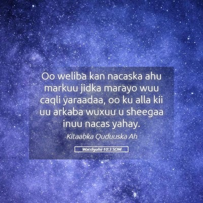 Picture 05 - Wacdiyahii 10:3 SOM - Oo weliba kan nacaska ahu markuu jidka marayo wuu - Bible Verse Picture