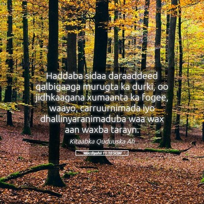 Picture 05 - Wacdiyahii 11:10 SOM - Haddaba sidaa daraaddeed qalbigaaga murugta ka - Bible Verse Picture