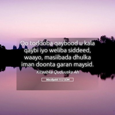Picture 05 - Wacdiyahii 11:2 SOM - Oo toddoba qaybood u kala qaybi iyo weliba - Bible Verse Picture