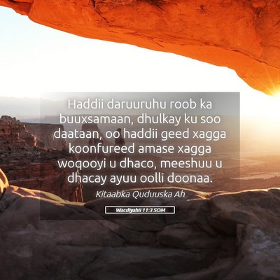 Picture 05 - Wacdiyahii 11:3 SOM - Haddii daruuruhu roob ka buuxsamaan, dhulkay ku - Bible Verse Picture