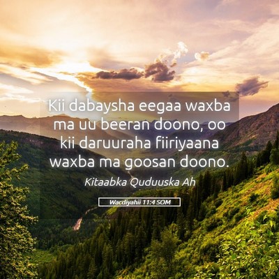 Picture 05 - Wacdiyahii 11:4 SOM - Kii dabaysha eegaa waxba ma uu beeran doono, oo - Bible Verse Picture