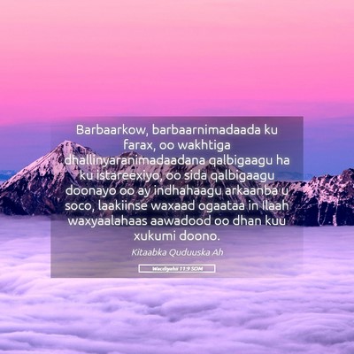 Picture 05 - Wacdiyahii 11:9 SOM - Barbaarkow, barbaarnimadaada ku farax, oo - Bible Verse Picture
