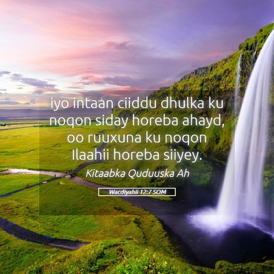 Picture 05 - Wacdiyahii 12:7 SOM - iyo intaan ciiddu dhulka ku noqon siday horeba - Bible Verse Picture