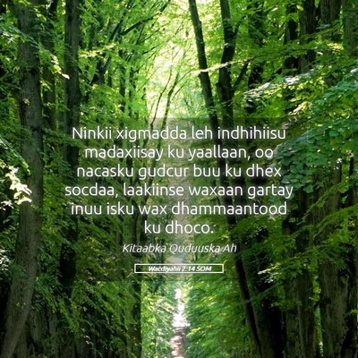 Picture 05 - Wacdiyahii 2:14 SOM - Ninkii xigmadda leh indhihiisu madaxiisay ku - Bible Verse Picture