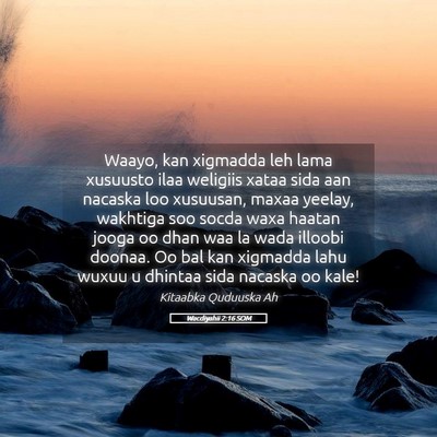 Picture 05 - Wacdiyahii 2:16 SOM - Waayo, kan xigmadda leh lama xusuusto ilaa - Bible Verse Picture