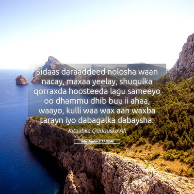 Picture 05 - Wacdiyahii 2:17 SOM - Sidaas daraaddeed nolosha waan nacay, maxaa - Bible Verse Picture