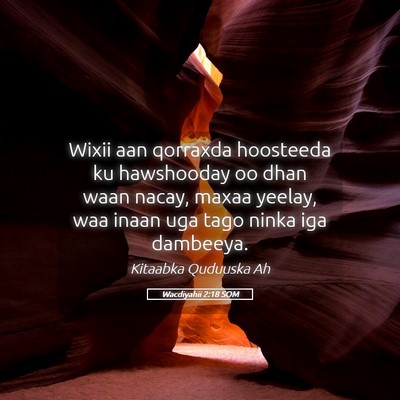 Picture 05 - Wacdiyahii 2:18 SOM - Wixii aan qorraxda hoosteeda ku hawshooday oo - Bible Verse Picture