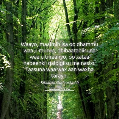 Picture 05 - Wacdiyahii 2:23 SOM - Waayo, maalmihiisa oo dhammu waa u murug, - Bible Verse Picture