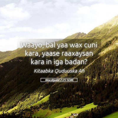 Picture 05 - Wacdiyahii 2:25 SOM - Waayo, bal yaa wax cuni kara, yaase raaxaysan - Bible Verse Picture