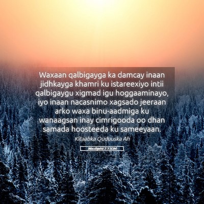Picture 05 - Wacdiyahii 2:3 SOM - Waxaan qalbigayga ka damcay inaan jidhkayga - Bible Verse Picture
