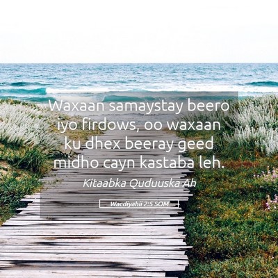 Picture 05 - Wacdiyahii 2:5 SOM - Waxaan samaystay beero iyo firdows, oo waxaan ku - Bible Verse Picture