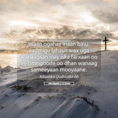 Picture 05 - Wacdiyahii 3:12 SOM - Waan ogahay inaan binu-aadmigu lahayn wax uga - Bible Verse Picture