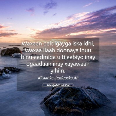 Picture 05 - Wacdiyahii 3:18 SOM - Waxaan qalbigayga iska idhi, Waxaa Ilaah doonaya - Bible Verse Picture