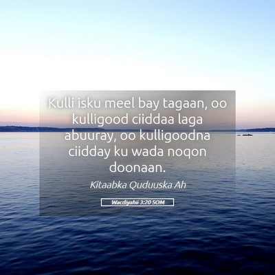 Picture 05 - Wacdiyahii 3:20 SOM - Kulli isku meel bay tagaan, oo kulligood ciiddaa - Bible Verse Picture