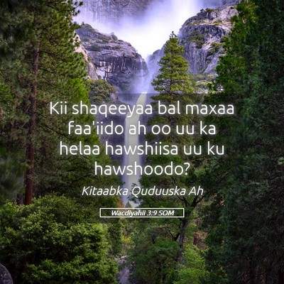Picture 05 - Wacdiyahii 3:9 SOM - Kii shaqeeyaa bal maxaa faa'iido ah oo uu ka - Bible Verse Picture