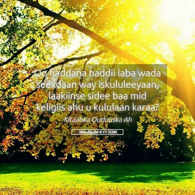 Picture 05 - Wacdiyahii 4:11 SOM - Oo haddana haddii laba wada seexdaan way - Bible Verse Picture