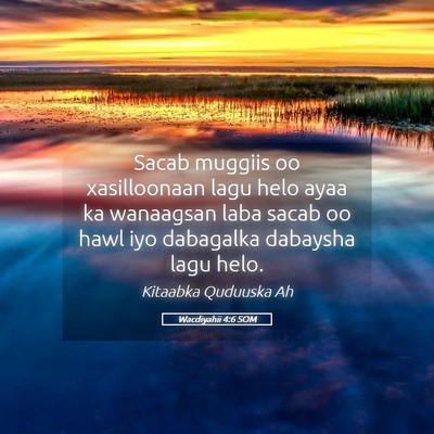 Picture 05 - Wacdiyahii 4:6 SOM - Sacab muggiis oo xasilloonaan lagu helo ayaa ka - Bible Verse Picture