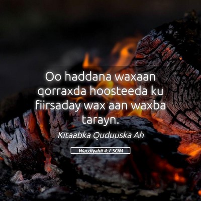 Picture 05 - Wacdiyahii 4:7 SOM - Oo haddana waxaan qorraxda hoosteeda ku fiirsaday - Bible Verse Picture