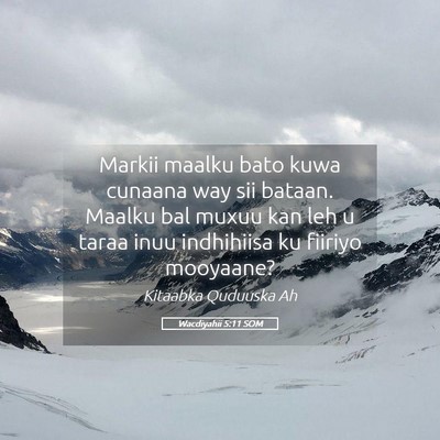 Picture 05 - Wacdiyahii 5:11 SOM - Markii maalku bato kuwa cunaana way sii bataan. - Bible Verse Picture