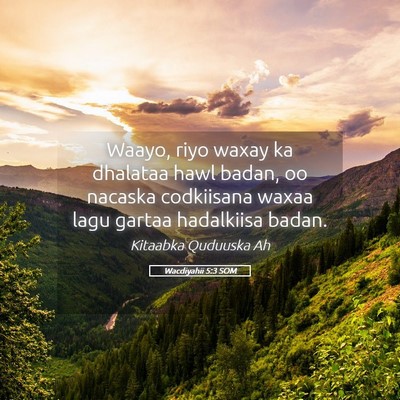 Picture 05 - Wacdiyahii 5:3 SOM - Waayo, riyo waxay ka dhalataa hawl badan, oo - Bible Verse Picture