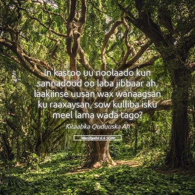 Picture 05 - Wacdiyahii 6:6 SOM - In kastoo uu noolaado kun sannadood oo laba - Bible Verse Picture