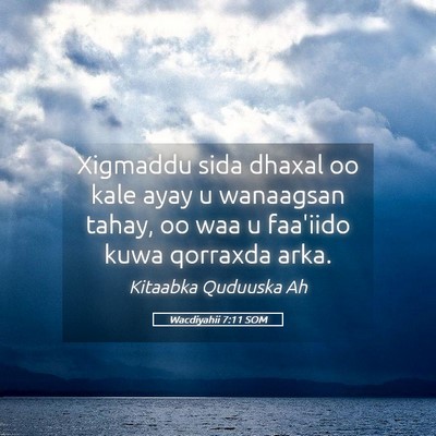 Picture 05 - Wacdiyahii 7:11 SOM - Xigmaddu sida dhaxal oo kale ayay u wanaagsan - Bible Verse Picture