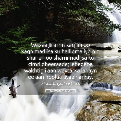 Picture 05 - Wacdiyahii 7:15 SOM - Waxaa jira nin xaq ah oo xaqnimadiisa ku halligma - Bible Verse Picture