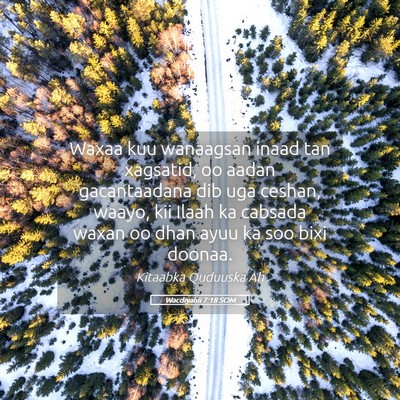 Picture 05 - Wacdiyahii 7:18 SOM - Waxaa kuu wanaagsan inaad tan xagsatid, oo aadan - Bible Verse Picture