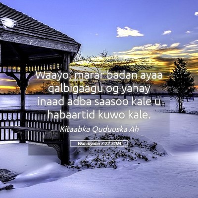Picture 05 - Wacdiyahii 7:22 SOM - Waayo, marar badan ayaa qalbigaagu og yahay inaad - Bible Verse Picture