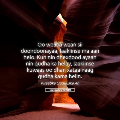 Picture 05 - Wacdiyahii 7:28 SOM - Oo weliba waan sii doondoonayaa, laakiinse ma aan - Bible Verse Picture