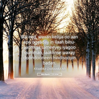 Picture 05 - Wacdiyahii 7:29 SOM - Bal eeg, waxan keliya oo aan soo ogaaday in Ilaah - Bible Verse Picture