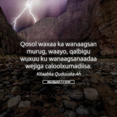 Picture 05 - Wacdiyahii 7:3 SOM - Qosol waxaa ka wanaagsan murug, waayo, qalbigu - Bible Verse Picture