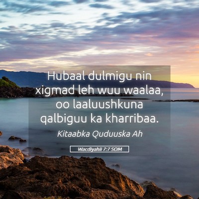Picture 05 - Wacdiyahii 7:7 SOM - Hubaal dulmigu nin xigmad leh wuu waalaa, oo - Bible Verse Picture