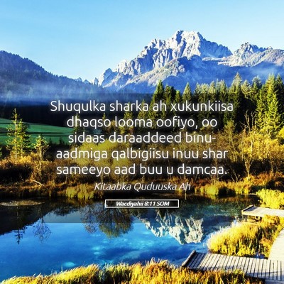 Picture 05 - Wacdiyahii 8:11 SOM - Shuqulka sharka ah xukunkiisa dhaqso looma - Bible Verse Picture