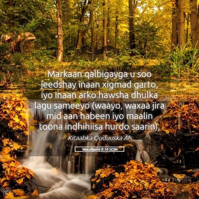 Picture 05 - Wacdiyahii 8:16 SOM - Markaan qalbigayga u soo jeedshay inaan xigmad - Bible Verse Picture