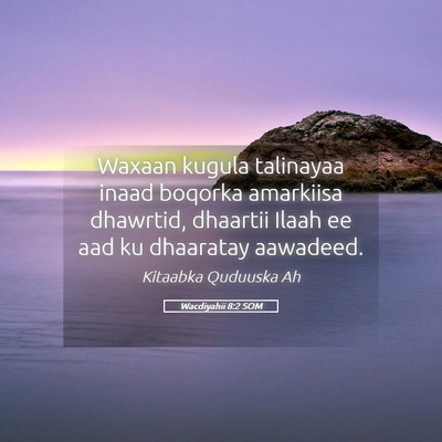 Picture 05 - Wacdiyahii 8:2 SOM - Waxaan kugula talinayaa inaad boqorka amarkiisa - Bible Verse Picture