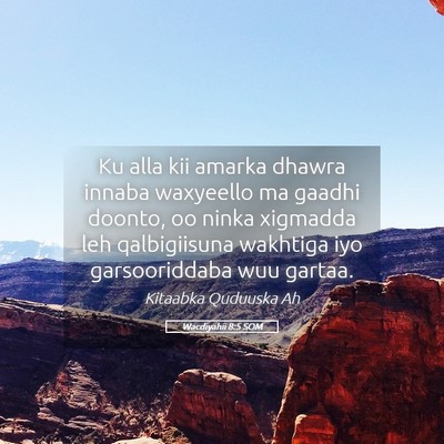 Picture 05 - Wacdiyahii 8:5 SOM - Ku alla kii amarka dhawra innaba waxyeello ma - Bible Verse Picture