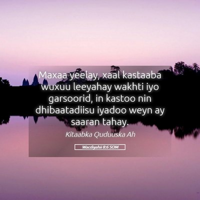 Picture 05 - Wacdiyahii 8:6 SOM - Maxaa yeelay, xaal kastaaba wuxuu leeyahay wakhti - Bible Verse Picture