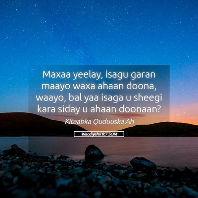 Picture 05 - Wacdiyahii 8:7 SOM - Maxaa yeelay, isagu garan maayo waxa ahaan doona, - Bible Verse Picture