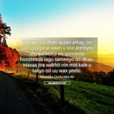 Picture 05 - Wacdiyahii 8:9 SOM - Waxaas oo dhan ayaan arkay, oo qalbigaygana waan - Bible Verse Picture