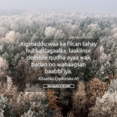 Picture 05 - Wacdiyahii 9:18 SOM - Xigmaddu waa ka fiican tahay hubka dagaalka, - Bible Verse Picture