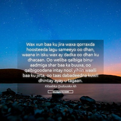 Picture 05 - Wacdiyahii 9:3 SOM - Wax xun baa ku jira waxa qorraxda hoosteeda lagu - Bible Verse Picture