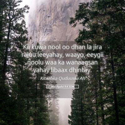 Picture 05 - Wacdiyahii 9:4 SOM - Kii kuwa nool oo dhan la jira rajuu leeyahay, - Bible Verse Picture
