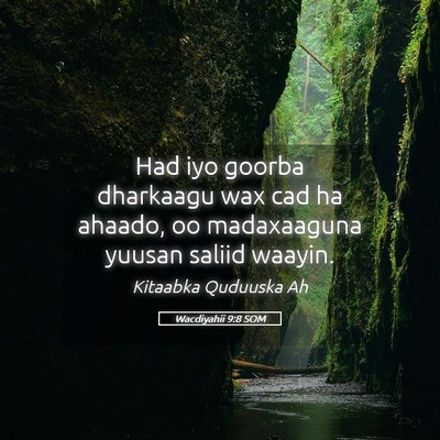 Picture 05 - Wacdiyahii 9:8 SOM - Had iyo goorba dharkaagu wax cad ha ahaado, oo - Bible Verse Picture