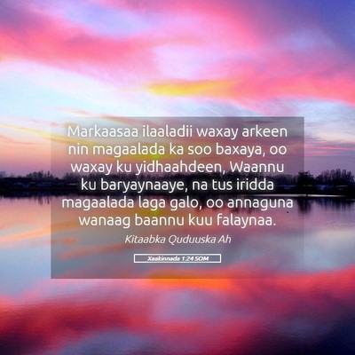 Picture 05 - Xaakinnada 1:24 SOM - Markaasaa ilaaladii waxay arkeen nin magaalada ka - Bible Verse Picture