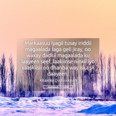 Picture 05 - Xaakinnada 1:25 SOM - Markaasuu iyagii tusay iriddii magaalada laga - Bible Verse Picture