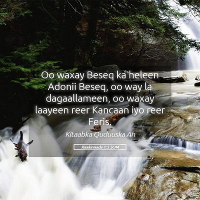 Picture 05 - Xaakinnada 1:5 SOM - Oo waxay Beseq ka heleen Adonii Beseq, oo way la - Bible Verse Picture