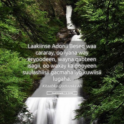 Picture 05 - Xaakinnada 1:6 SOM - Laakiinse Adonii Beseq waa cararay, oo iyana way - Bible Verse Picture