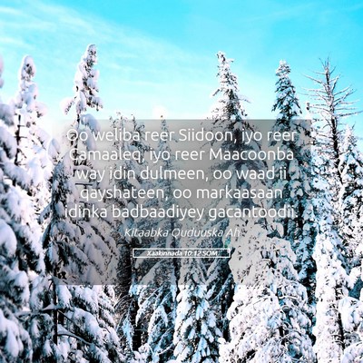 Picture 05 - Xaakinnada 10:12 SOM - Oo weliba reer Siidoon, iyo reer Camaaleq, iyo - Bible Verse Picture