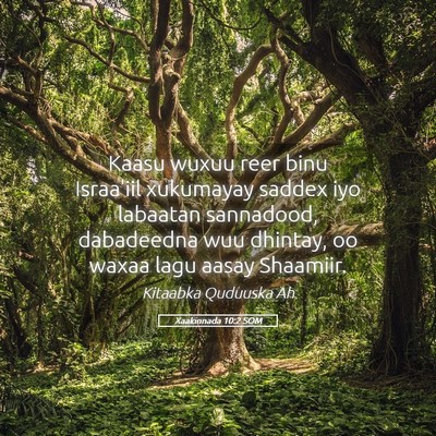 Picture 05 - Xaakinnada 10:2 SOM - Kaasu wuxuu reer binu Israa'iil xukumayay saddex - Bible Verse Picture